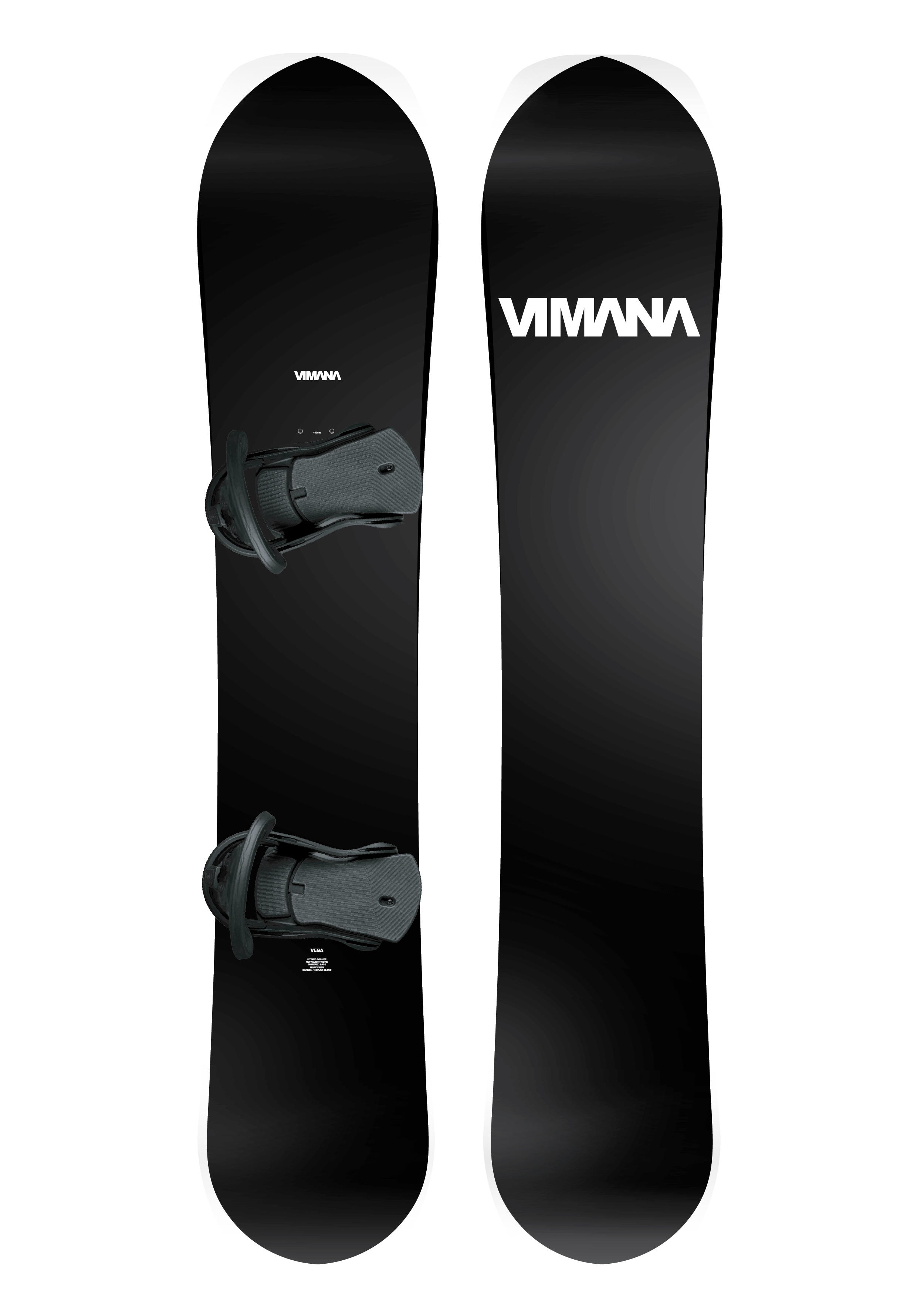 THE VEGA